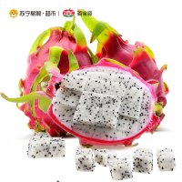 [苏宁自营]百宝源越南进口白心火龙果5斤装(单果400-500g)肉嫩多汁 清香软滑