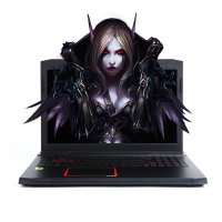 神舟(Hasee) 战神K660E-I5 战斗版 游戏笔记本电脑(i5 8G内存 128GB+1TB GTX960M)