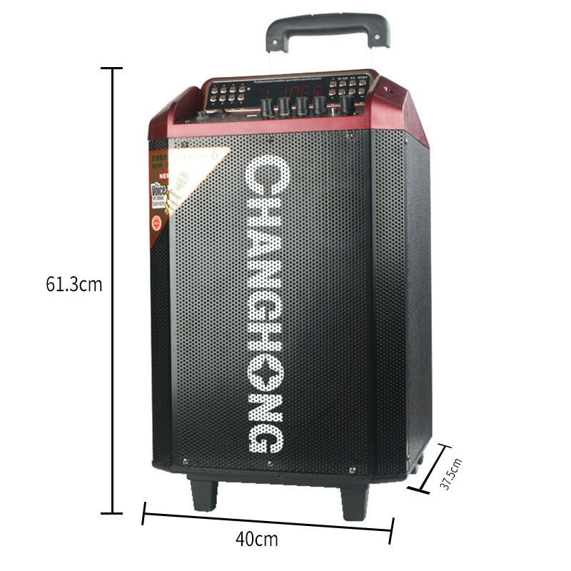 长虹 CHANGHONG CYD-122大功率电瓶户外广场舞拉杆音箱移动蓝牙遥控话筒可插卡舞台演出音响