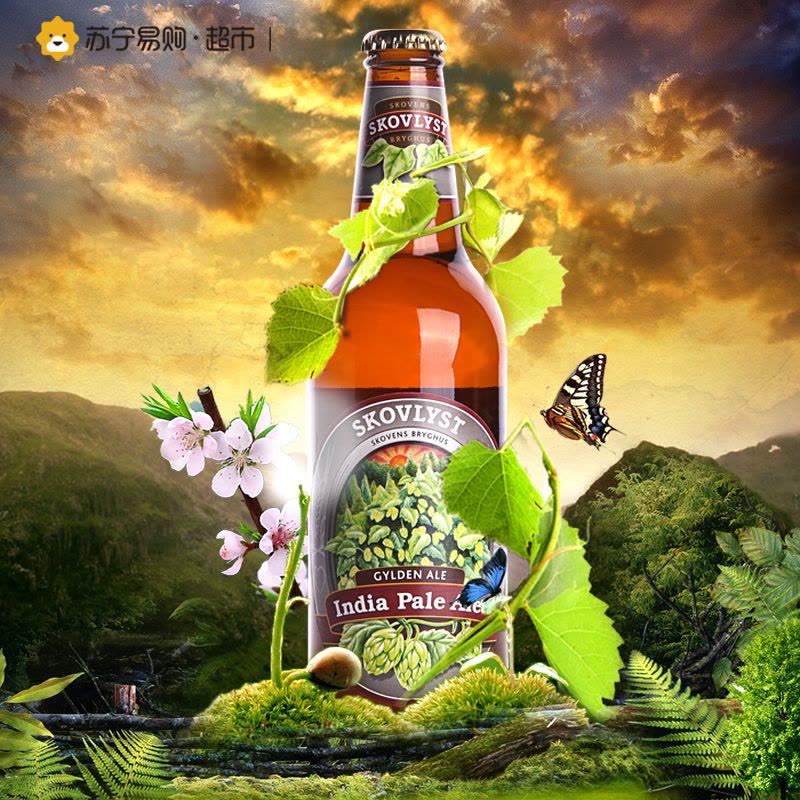 森林之光 印度淡艾尔啤酒 500ml/瓶图片