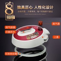 九阳(Joyoung)电压力锅 JYY-50C9 5升 土灶铁釜 智能调压 一键旋控 高压锅
