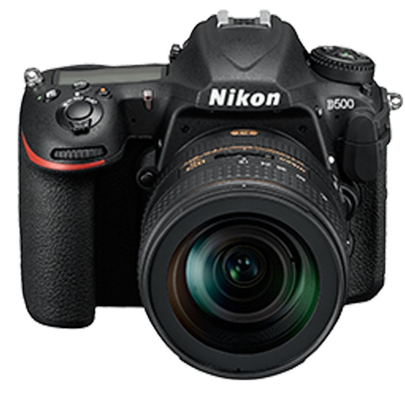 尼康(Nikon) 数码单反相机 D500+AF-S DX 尼克尔 16-80mm f/2.8-4E ED VR 镜头