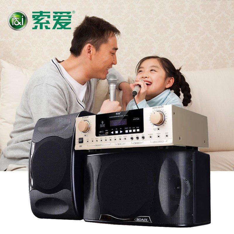 索爱 CK-M2卡拉OK音箱唱K歌家用功放音响套装专业会议卡包KTV音响 CK-M2音箱一对