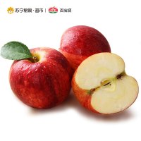 [苏宁自营]百宝源 智力加力果 苹果 新鲜水果 9个单果(150-180g)