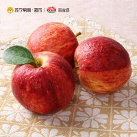 [苏宁自营]百宝源 智力加力果 苹果 新鲜水果 9个单果(150-180g)