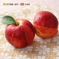 [苏宁自营]百宝源 智力加力果 苹果 新鲜水果 9个单果(150-180g)