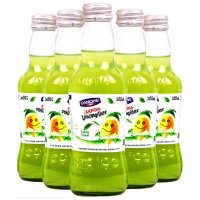 阿卡娜青柠檬味充气饮料200ml*6土耳其进口