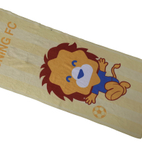 江苏苏宁足球官方 毛巾