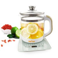 宜阁YS889多功能养生壶高硼硅玻璃电壶 全自动中药壶电煎药壶 花茶养身灵芝煮茶壶分体烧水