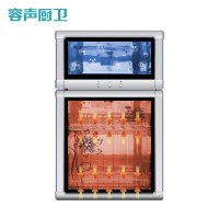 Ronshen/容声 立式臭氧高温红外线二星级消毒柜 ZTP80-RQ101