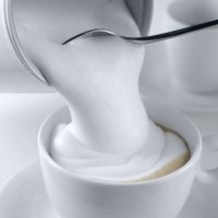 意大利德龙 (DeLonghi) EMF2.W 全自动奶泡机 牛奶30s起泡 恒温加热冷热两用 绵密口感咖啡奶泡机