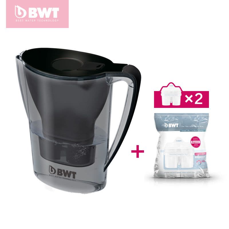 德国BWT净水壶滤水壶净水器饮水机家用直饮2.7升一壶两芯 黑色图片