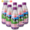 国农 布丁味牛乳饮品 240ml*6 中国台湾地区进口饮料