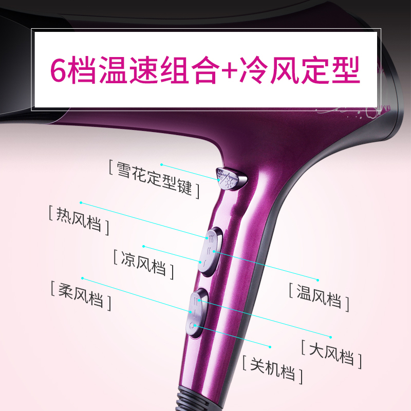 飞科(FLYCO)电吹风 FH6273 六档变速调控负离子护发健康柔风2200W家用吹风机