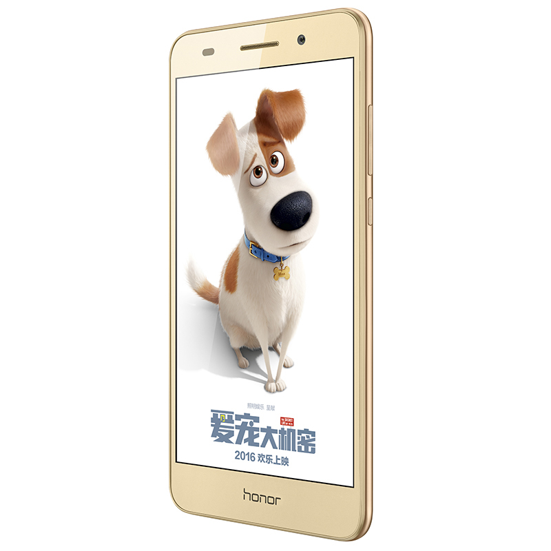 荣耀畅玩5A全网通(CAM-AL00)(2GB RAM+16GB ROM)金色