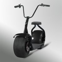 塞夫SEEV智能体感电动citycoco黑+黑
