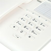 德国集怡嘉(Gigaset)原西门子品牌6005办公座机壁挂式固定电话家用电话机(白色)