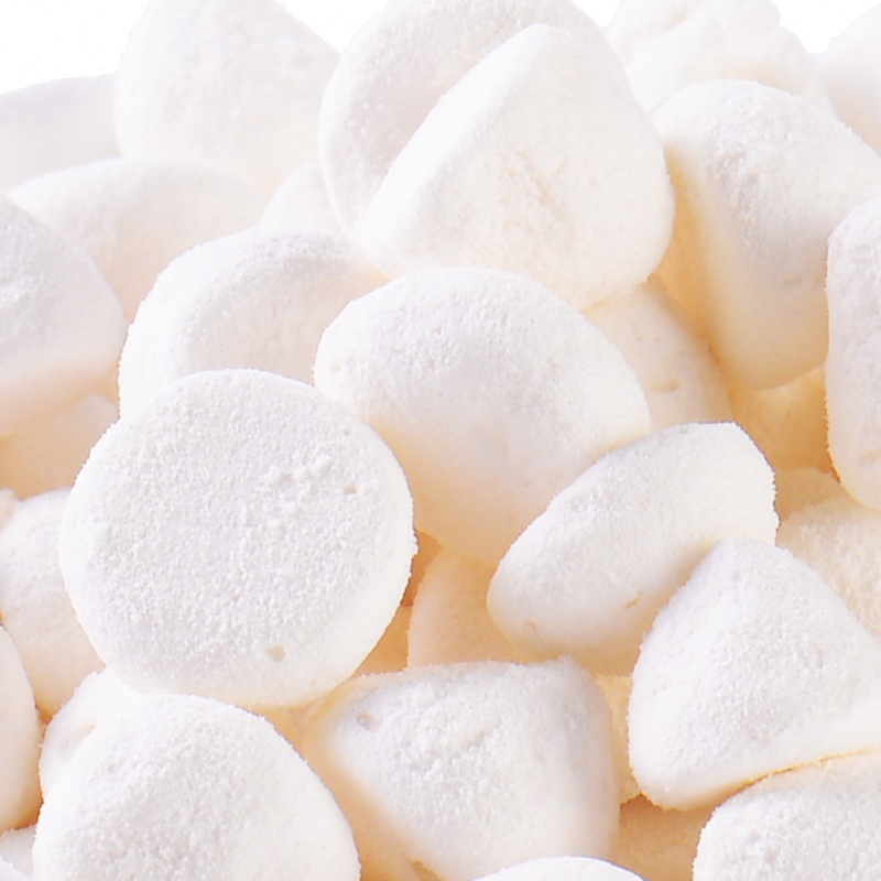 果仙多维 爱化羊奶溶溶球 核桃味8.8g