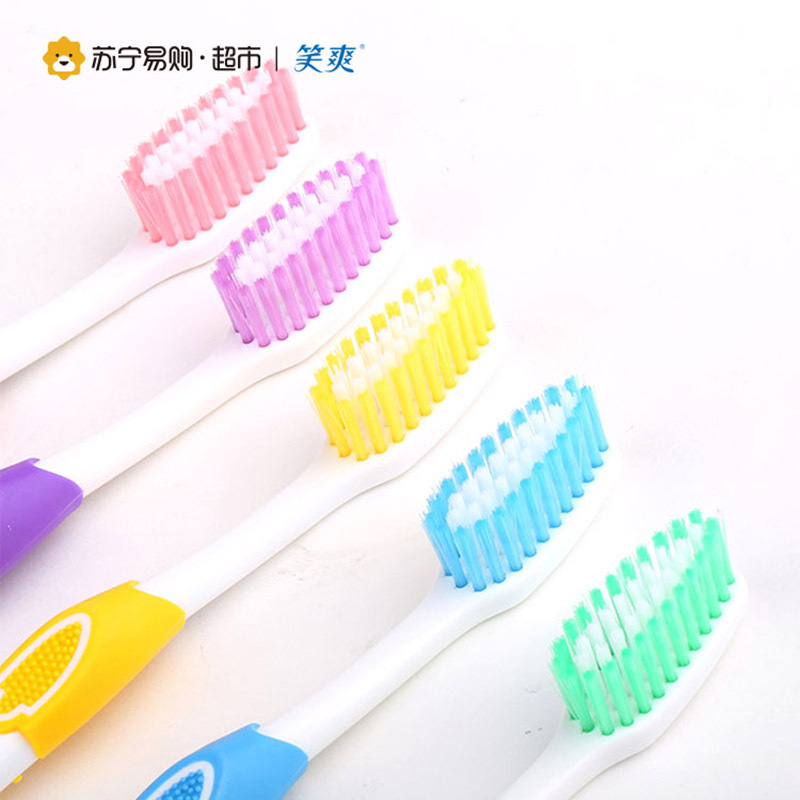 可洁可净物理磨尖毛牙刷整箱装100支