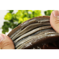 [苏宁易购超市]金鲁源即食冷冻海参礼盒 500g 大连刺参