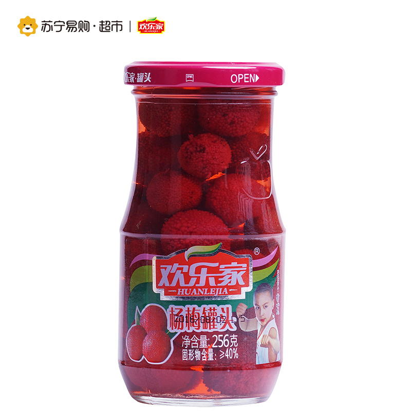 欢乐家 杨梅罐头 256g*12 箱装水果速食罐头 方便速食