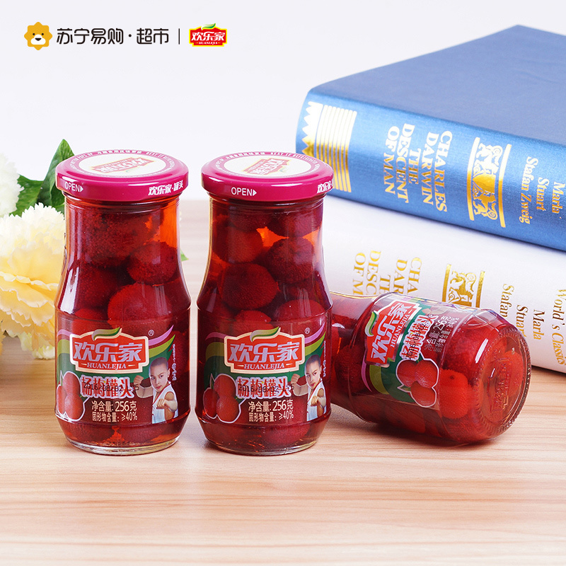 欢乐家 杨梅罐头 256g*12 箱装水果速食罐头 方便速食