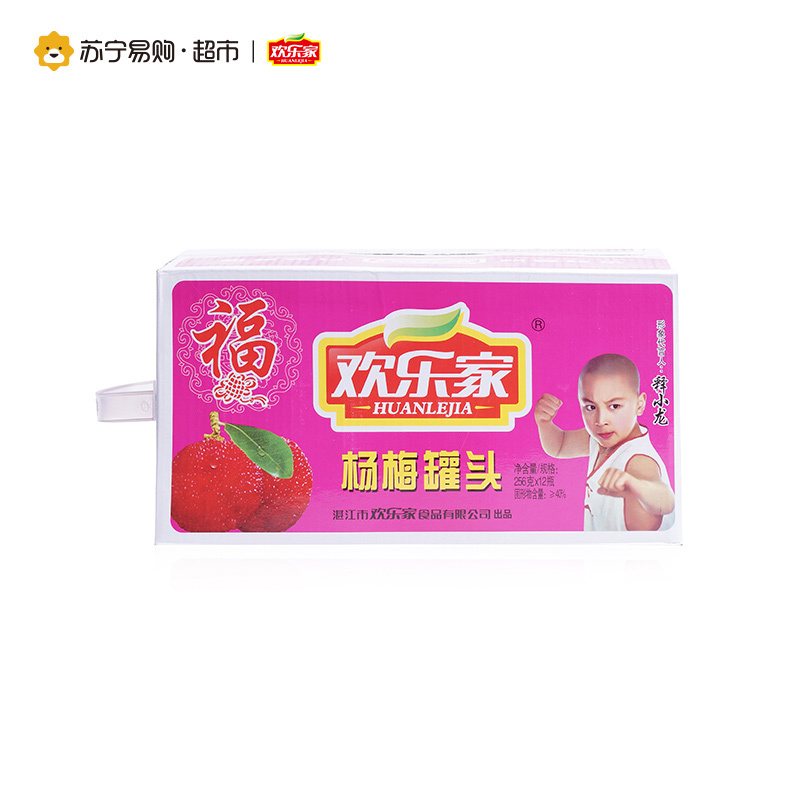 欢乐家 杨梅罐头 256g*12 箱装水果速食罐头 方便速食