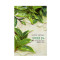 Nature Republic 纳益其尔精粹自然绿茶面膜 23ml*10片