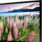 三星(SAMSUNG) UA48KF21EAJXXZ 48英寸 全高清 网络智能 LED液晶电视