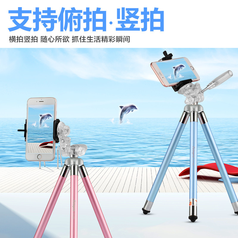 富图宝(Fotopro) FY-583 蓝色 便携八节迷你三脚架照相机微单摄像机手机三角架 便携支架