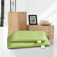 迎馨 床品家纺 全棉纯荞麦枕芯 护颈枕甜荞麦纯色长方形单人枕头6斤含枕套 46*72cm