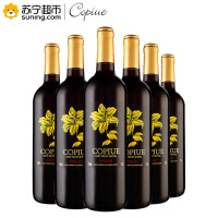 智利原酒进口 柯碧韦(Copiue)西拉干红葡萄酒 750ml*6 整箱装