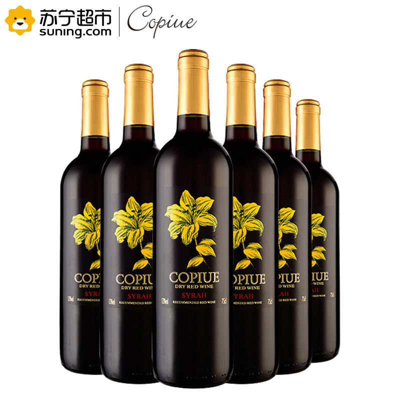 智利原酒进口 柯碧韦(Copiue)西拉干红葡萄酒 750ml*6 整箱装