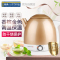 瑞典北欧欧慕（nathome）NSH0801电水壶304不锈钢保温调温烧水壶0.8L开水壶电热水壶 香槟金迷你家用自动断