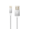 品胜 Apple Lightning双面USB数据充电线(1000mm)(银灰色)