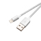 品胜 Apple Lightning双面USB数据充电线(1000mm)(银灰色)