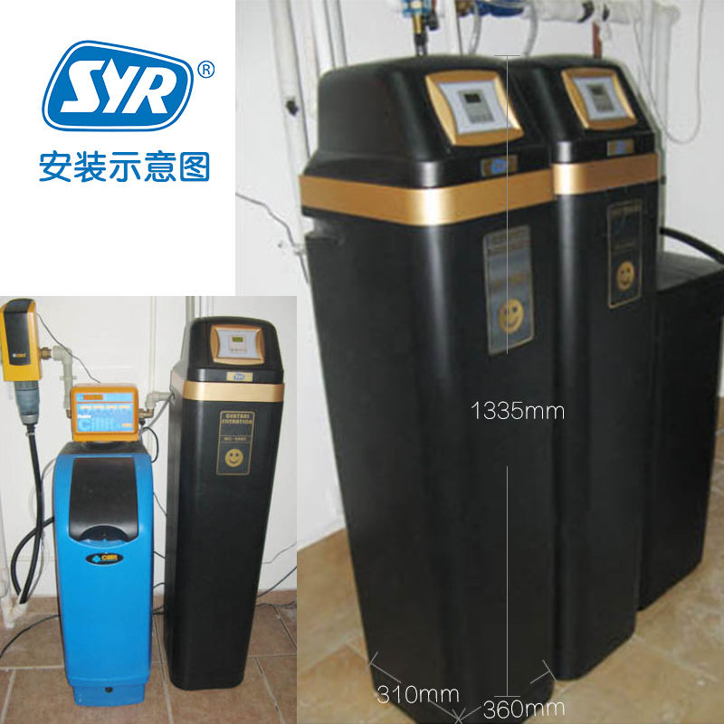 汉斯希尔(SYR) 家用中央净水机3.2吨/时水质净化 WS-3002-19 中央净水机全屋净水机