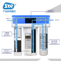 汉斯希尔(SYR) 厨下式净水器家用直饮净水机纯水机WS-6030-4004 智能净水器 家用纯水机 无桶RO膜反渗透