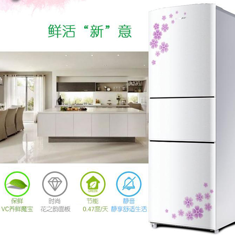容声(Ronshen)BCD-202M/Q 202升 三门冰箱 光电保鲜 家用一级节能(花之韵)高清大图