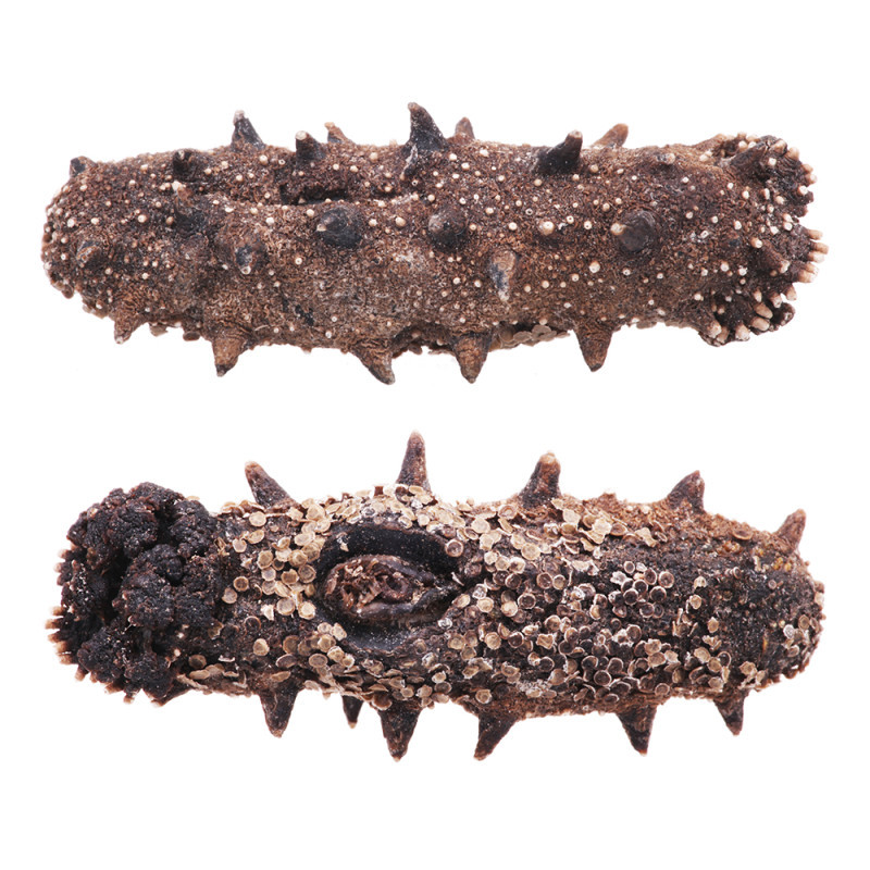 [苏宁易购超市]鼎海丰 金鼎淡干刺参 50g/盒 约10-12只装 山东