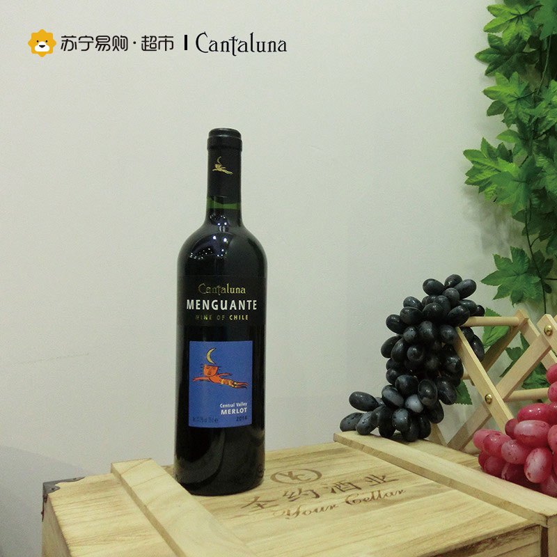 坎特努纳 天使美乐 红葡萄酒750ml 单支装