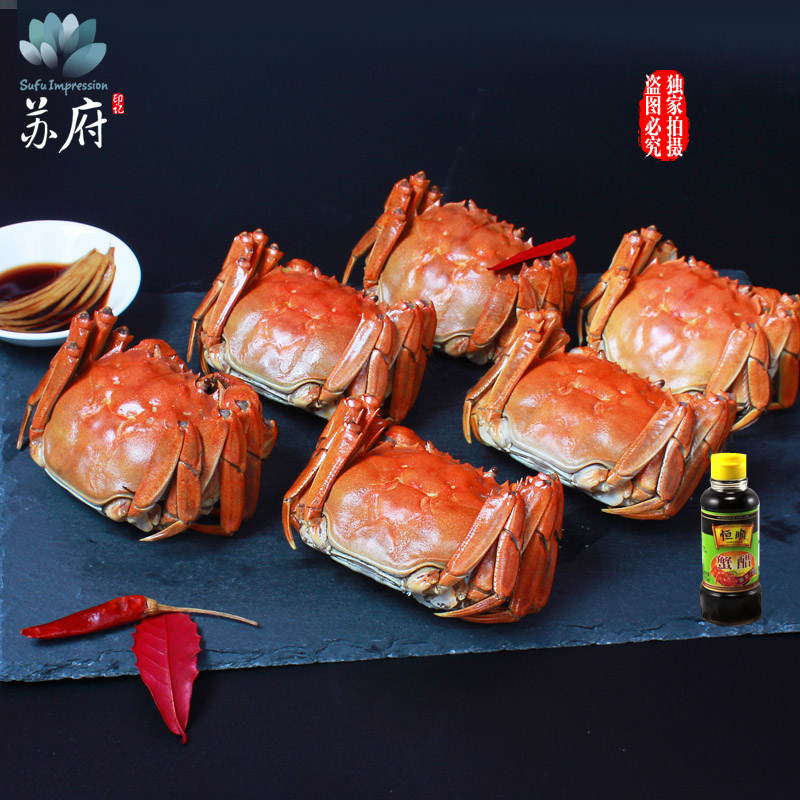 [苏宁自营]苏府印记阳澄湖大闸蟹1368型 公蟹4.0两 母蟹2.8两 5对10只装