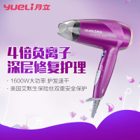 月立(yueli) HD-051V家用电吹风机 紫色