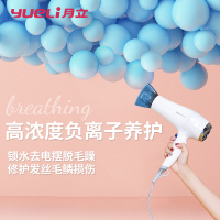 月立(YUELI)吹风机HD-052W专业负离子恒温护发2000瓦超大功率电吹风 陶瓷白支持自动断电4档