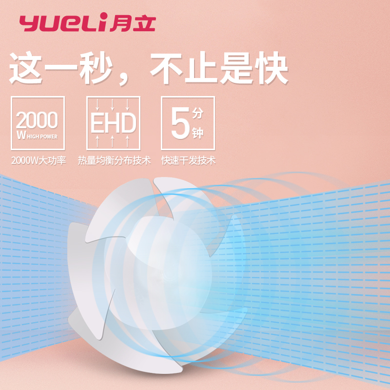 月立(YUELI)吹风机HD-052W专业负离子恒温护发2000瓦超大功率电吹风 陶瓷白支持自动断电4档