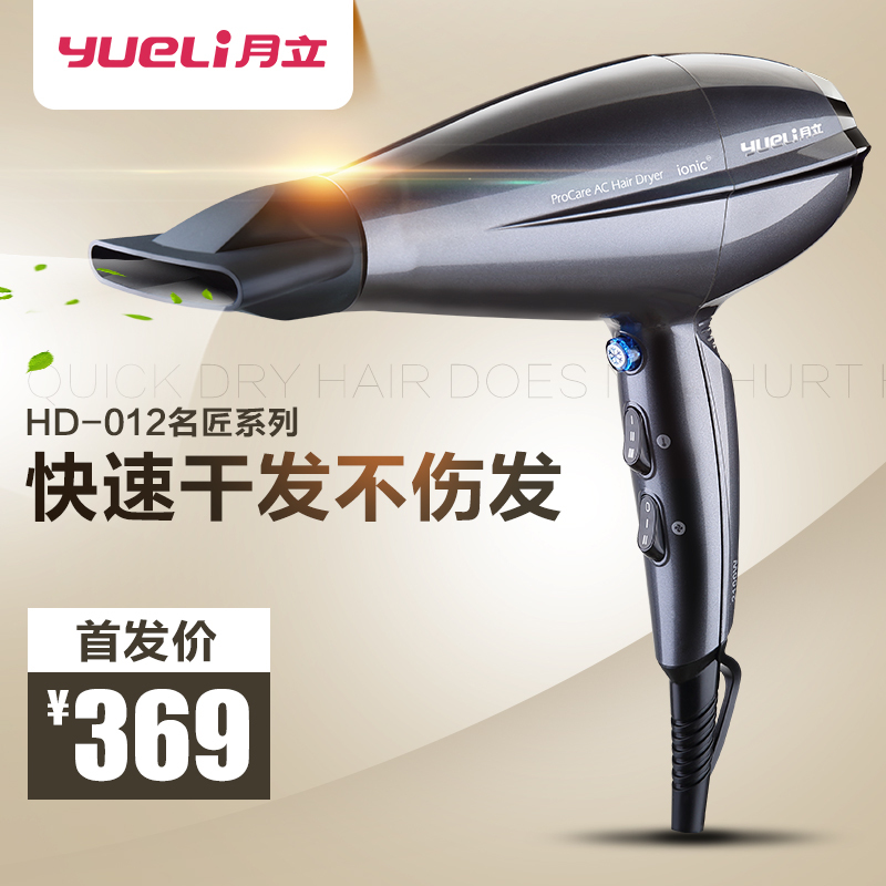 月立(yueli) HD-012GY专业电吹风 灰色