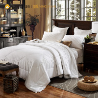 迎馨100%桑蚕丝被 纯棉被面子母双人被芯