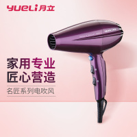 月立(yueli) HD-012V专业电吹风机 紫色