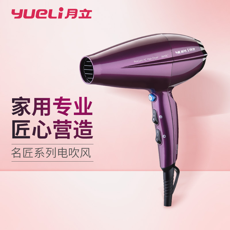 月立(yueli) HD-012V专业电吹风机 紫色