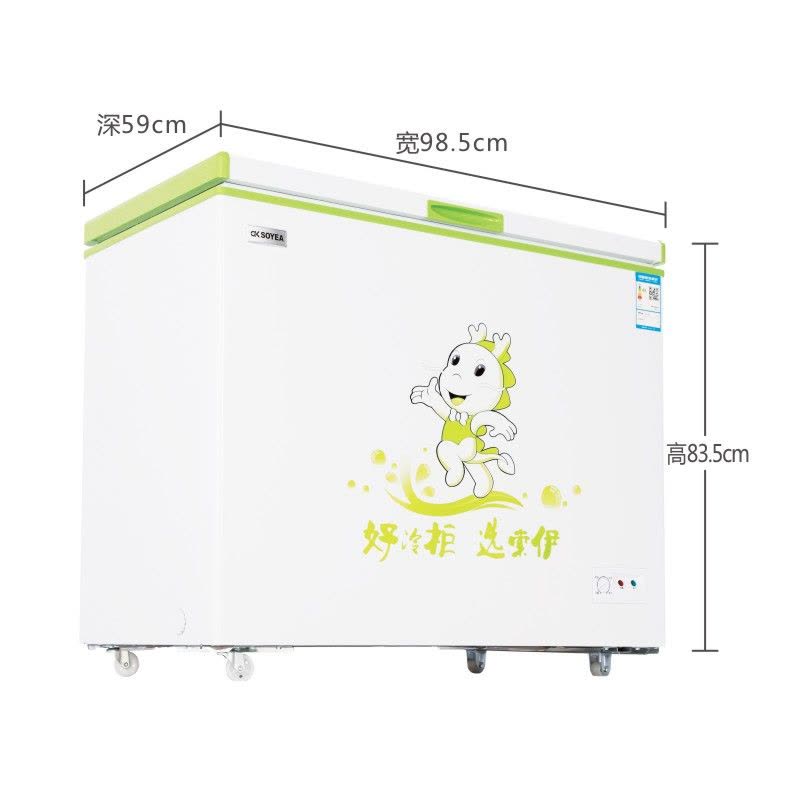索伊(Soyea) BC/BD-216 216L 双门小型冰柜家用卧式单温冷藏 冷冻柜商用冰柜图片